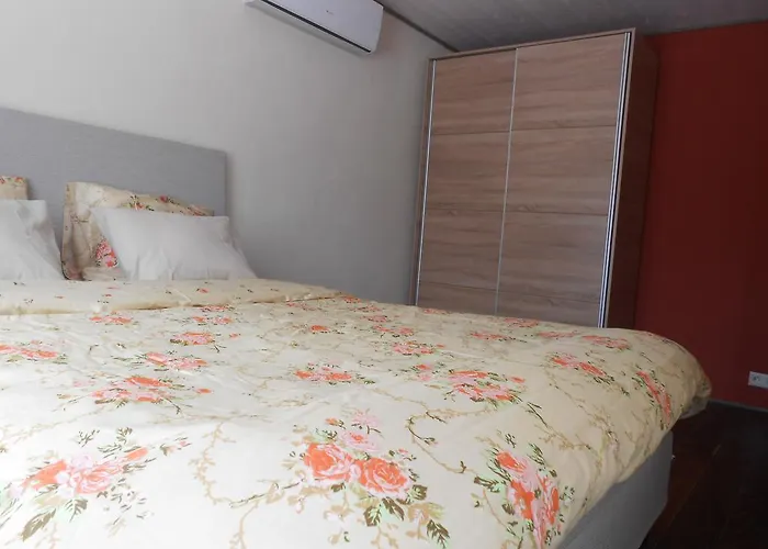 Yellow Center Puhkemaja Parnu